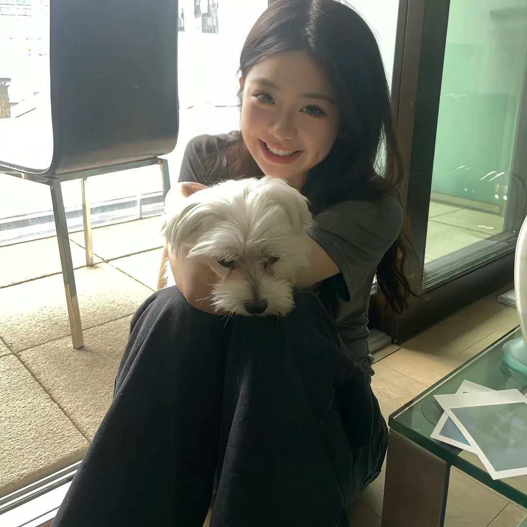 火线干探之复活